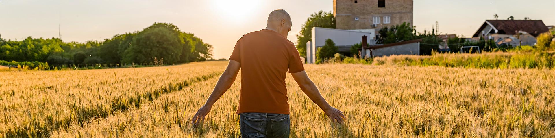 La cambiale agraria a breve termine compie cent’anni | Crédit Agricole La cambiale agraria a breve termine compie cent’anni | Crédit Agricole