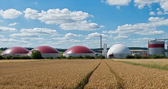 Bando pratiche ecologiche per biometano GSE | Crédit Agricole Bando pratiche ecologiche per biometano GSE | Crédit Agricole