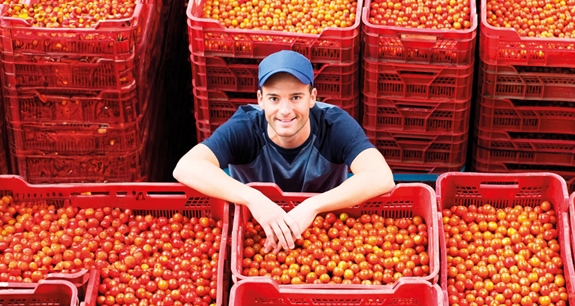 Filiera Ortofrutta | Crédit Agricole Filiera Ortofrutta | Crédit Agricole