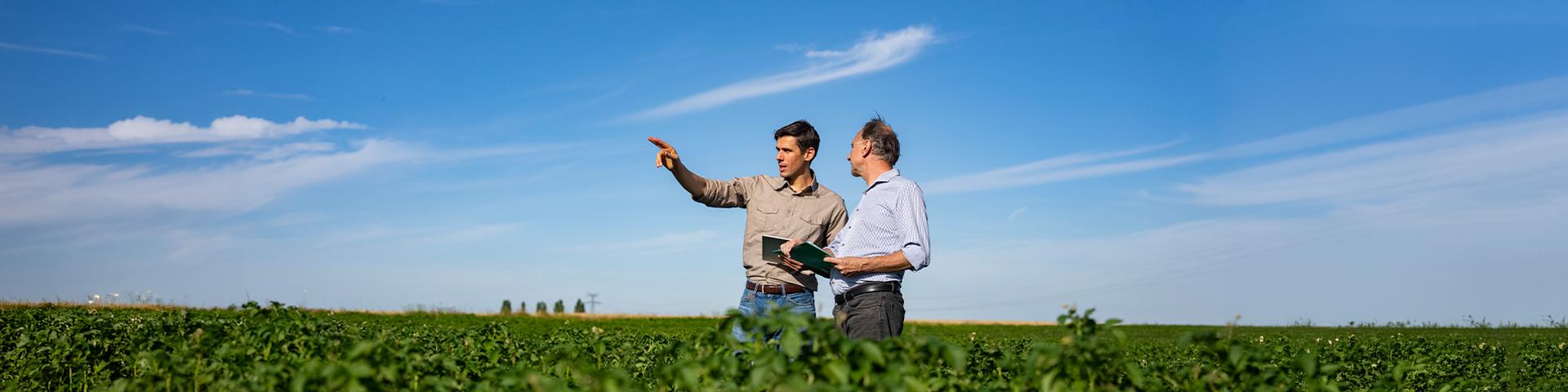 due uomini, uno giovane e uno meno giovane, in campo che parlano osservando la coltivazione | Crédit Agricole due uomini, uno giovane e uno meno giovane, in campo che parlano osservando la coltivazione | Crédit Agricole