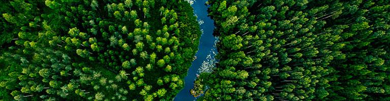 Ripristino della natura | Crédit Agricole Ripristino della natura | Crédit Agricole
