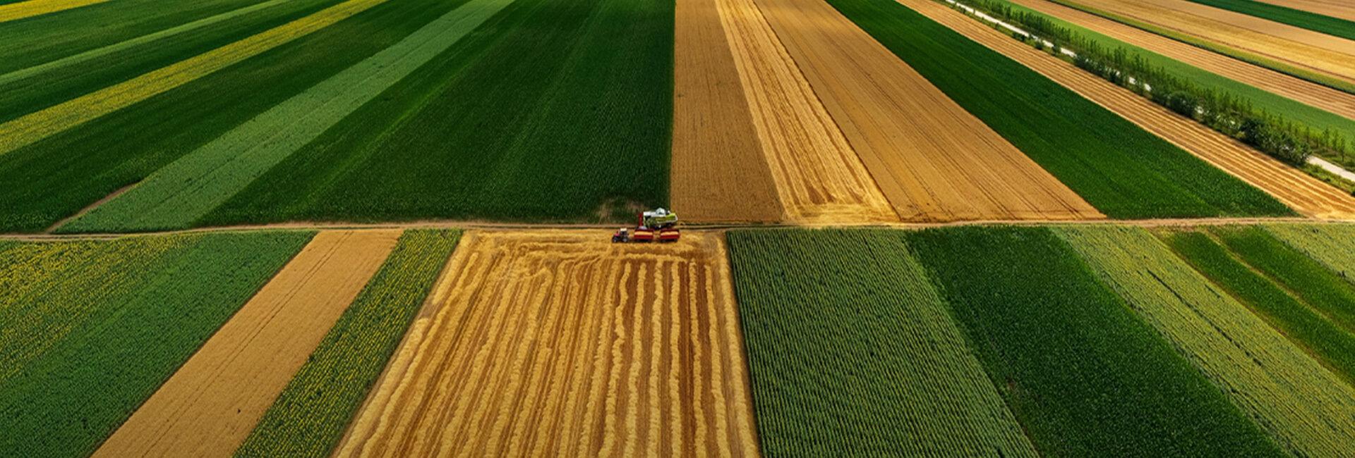 FAO: a Roma la prima Conferenza globale sulla meccanizzazione agricola sostenibile | Crédit Agricole FAO: a Roma la prima Conferenza globale sulla meccanizzazione agricola sostenibile | Crédit Agricole
