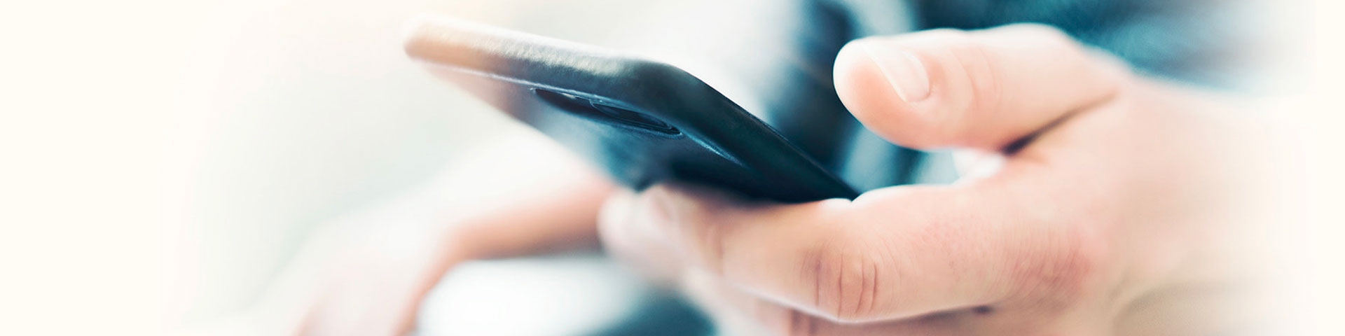 Mule / Money mule | Crédit Agricole Mule / Money mule | Crédit Agricole