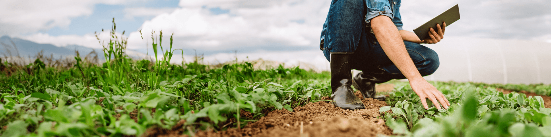 Agriadvisor Lite | Crédit Agricole Agriadvisor Lite | Crédit Agricole