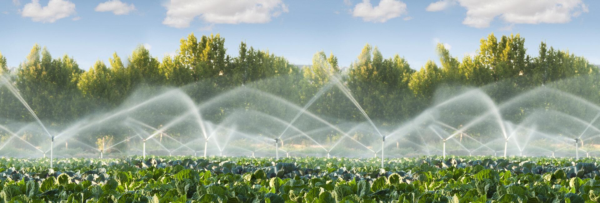 Irrigazione 4.0, innovazione per il futuro del pianeta | Crédit Agricole Irrigazione 4.0, innovazione per il futuro del pianeta | Crédit Agricole
