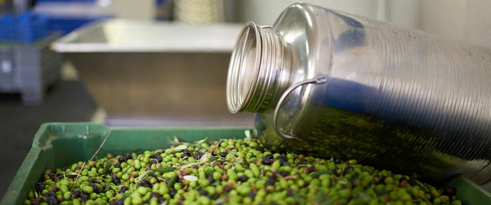 latta di olio | Crédit Agricole latta di olio | Crédit Agricole