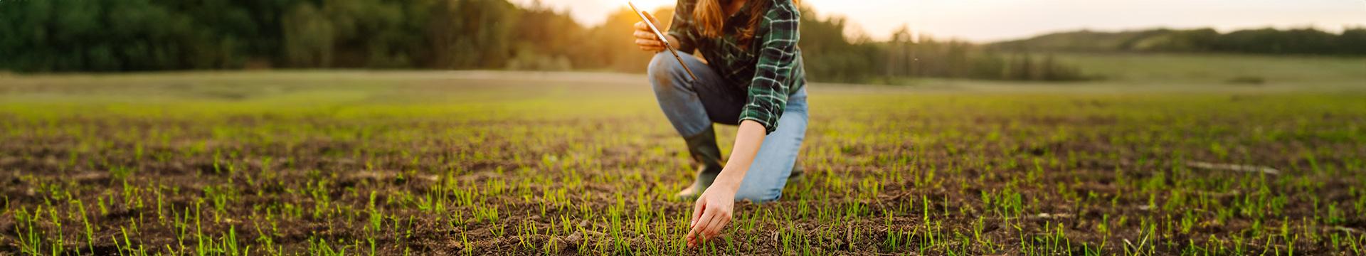 Da Bruxelles altre misure in favore degli agricoltori | Crédit Agricole Da Bruxelles altre misure in favore degli agricoltori | Crédit Agricole