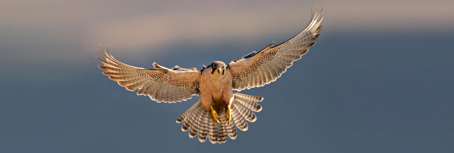 Fed e BCE: l’autunno è iniziato col doppio rialzo da 75 punti base | Crédit Agricole Fed e BCE: l’autunno è iniziato col doppio rialzo da 75 punti base | Crédit Agricole