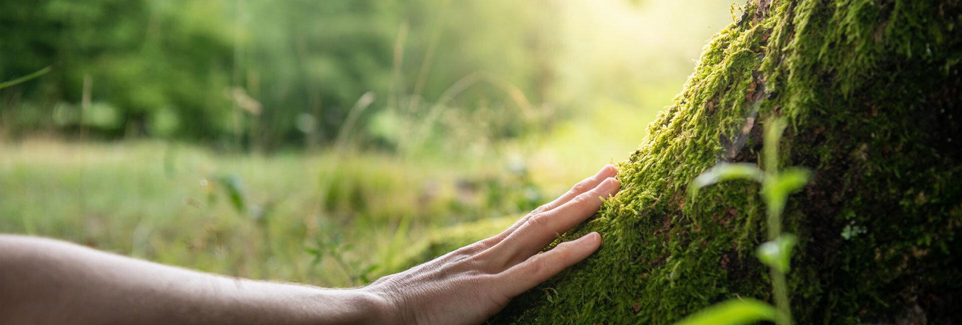 Investimenti green: la Tassonomia UE che fa la differenza | Crédit Agricole Investimenti green: la Tassonomia UE che fa la differenza | Crédit Agricole