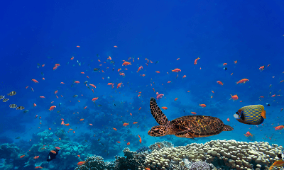 Clima e biodiversità: fare la differenza si può | Crédit Agricole Clima e biodiversità: fare la differenza si può | Crédit Agricole