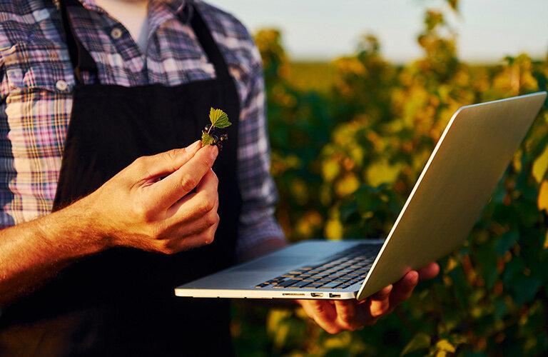 Il digitale conquista terreno nell'agroindustria | Crédit Agricole Il digitale conquista terreno nell'agroindustria | Crédit Agricole