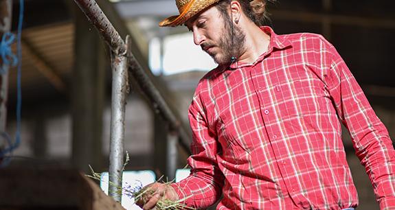 Zootecnia da carne, un’idea meravigliosa per uscire dalla crisi | Crédit Agricole Zootecnia da carne, un’idea meravigliosa per uscire dalla crisi | Crédit Agricole