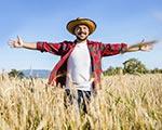 Grano: per il duro un 2025 più dolce del 2024. Soffre il tenero | Crédit Agricole Grano: per il duro un 2025 più dolce del 2024. Soffre il tenero | Crédit Agricole