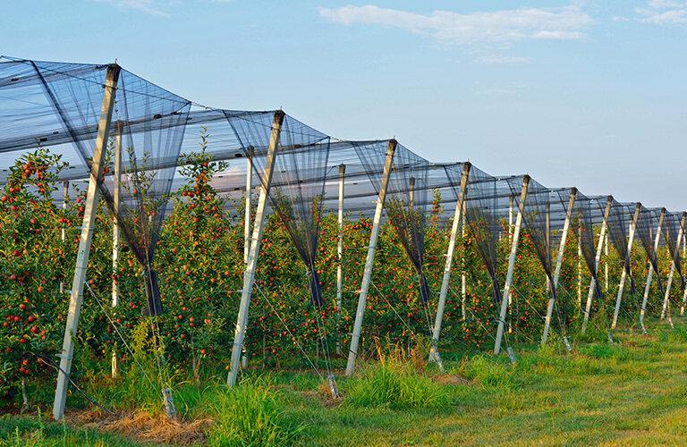L’importanza della gestione del rischio nelle aziende agricole | Crédit Agricole L’importanza della gestione del rischio nelle aziende agricole | Crédit Agricole