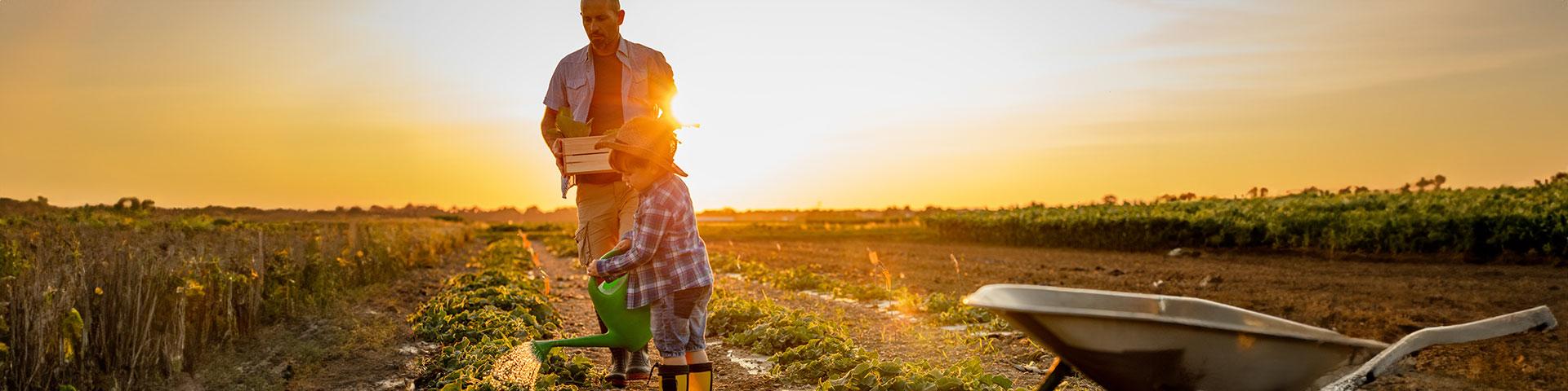 La Commissione Europea cambia rotta sull’agricoltura | Crédit Agricole La Commissione Europea cambia rotta sull’agricoltura | Crédit Agricole