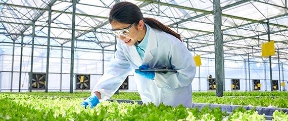 Fondo innovazione ISMEA dotazione 2025 | Crédit Agricole Fondo innovazione ISMEA dotazione 2025 | Crédit Agricole