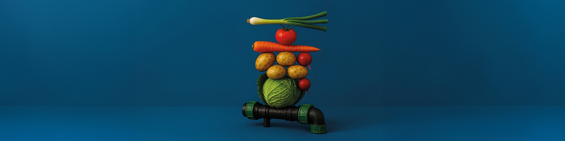 frutta e verdura in fila stile natura morta su sfondo blu | Crédit Agricole frutta e verdura in fila stile natura morta su sfondo blu | Crédit Agricole