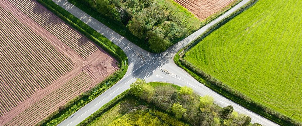 Dal campo alla tavola: come l’agricoltura biologica locale sta cambiando il futuro | Crédit Agricole Dal campo alla tavola: come l’agricoltura biologica locale sta cambiando il futuro | Crédit Agricole
