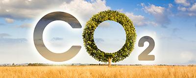 Carbon farming, dalla teoria alla pratica | Crédit Agricole Carbon farming, dalla teoria alla pratica | Crédit Agricole