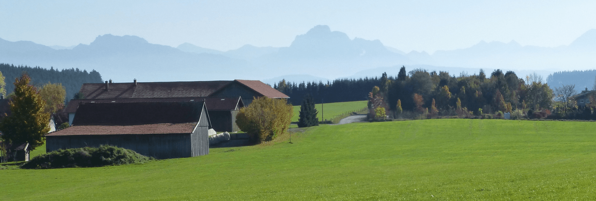 Allevamento intensivo: la riduzione dei gas serra è una necessità | Crédit Agricole Allevamento intensivo: la riduzione dei gas serra è una necessità | Crédit Agricole