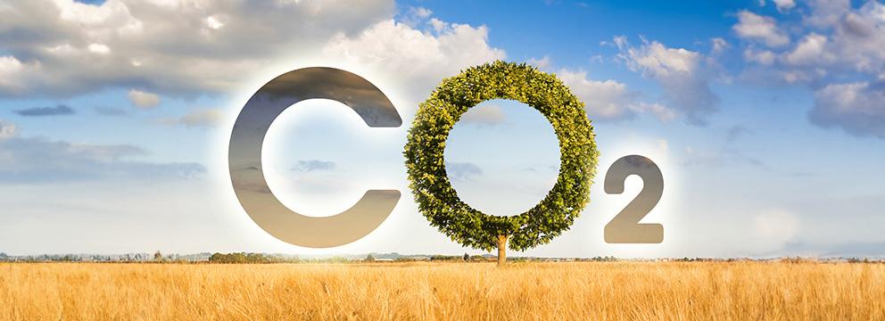 Carbon farming, dalla teoria alla pratica | Crédit Agricole Carbon farming, dalla teoria alla pratica | Crédit Agricole