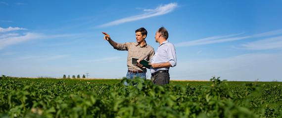 due uomini, uno giovane e uno meno giovane, in campo che parlano osservando la coltivazione | Crédit Agricole due uomini, uno giovane e uno meno giovane, in campo che parlano osservando la coltivazione | Crédit Agricole