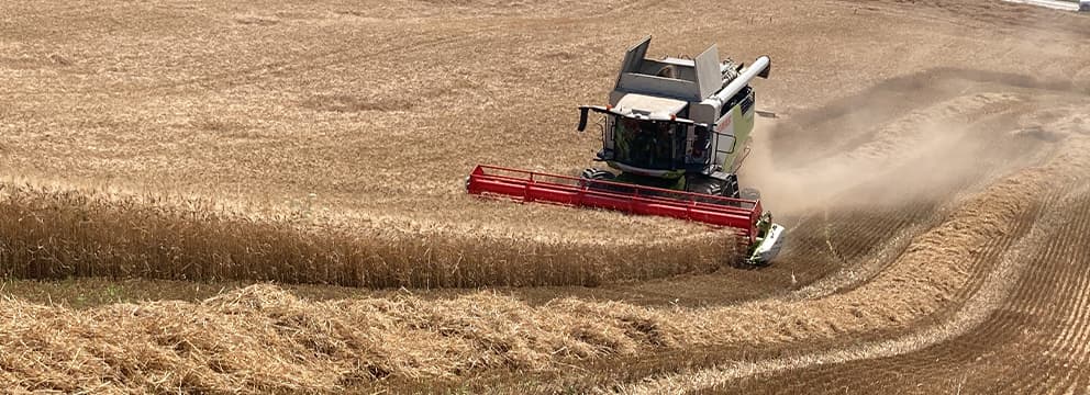 ColtivaItalia, oltre un miliardo per l'agricoltura italiana | Crédit Agricole ColtivaItalia, oltre un miliardo per l'agricoltura italiana | Crédit Agricole