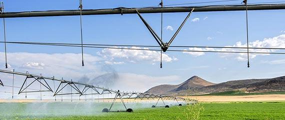 Irrigazione, la precisione è indispensabile | Crédit Agricole Irrigazione, la precisione è indispensabile | Crédit Agricole