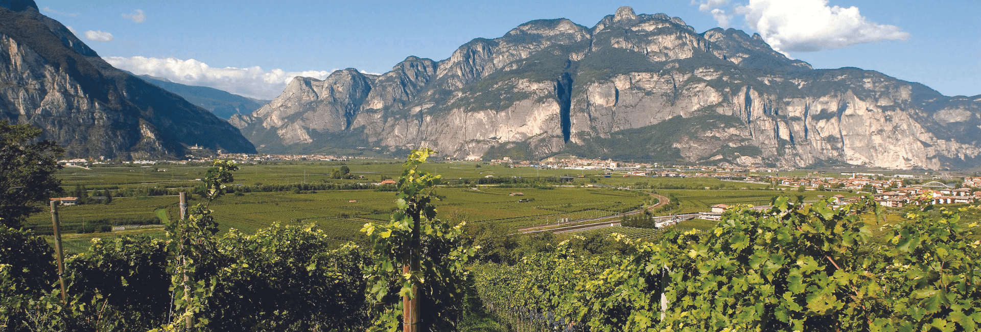 VIGNETO, CANTINA, RICERCA, CREDITO: IL TRENTINO FA SISTEMA | Crédit Agricole VIGNETO, CANTINA, RICERCA, CREDITO: IL TRENTINO FA SISTEMA | Crédit Agricole