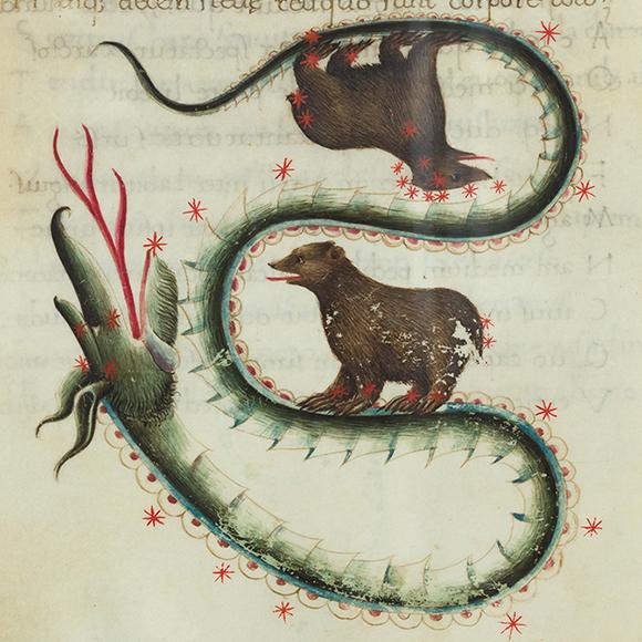 DALLE COSTELLAZIONI DI BASINIO DA PARMA AL NOVECENTO RIMINESE | Crédit Agricole DALLE COSTELLAZIONI DI BASINIO DA PARMA AL NOVECENTO RIMINESE | Crédit Agricole