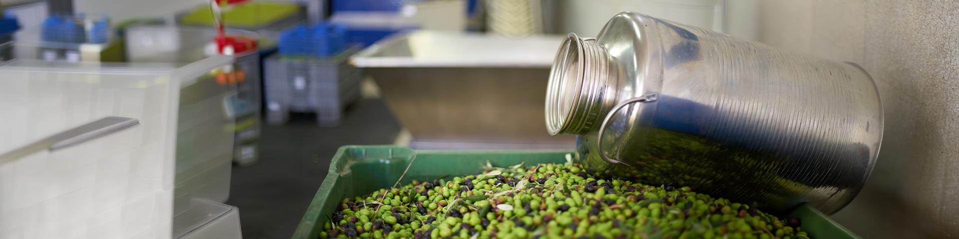 latta di olio | Crédit Agricole latta di olio | Crédit Agricole