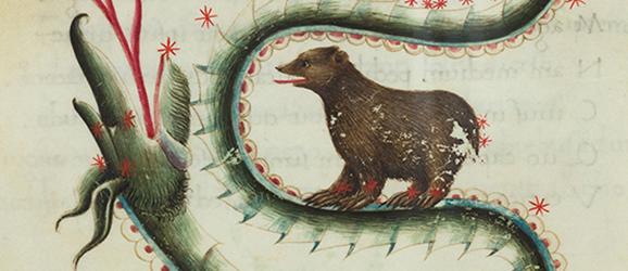 Astronomicon | Crédit Agricole Astronomicon | Crédit Agricole