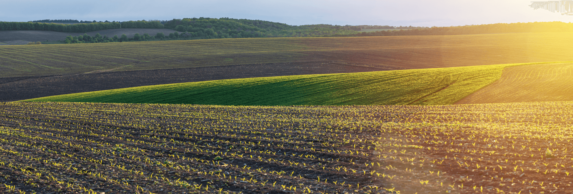 Sicurezza alimentare e PAC | Crédit Agricole Sicurezza alimentare e PAC | Crédit Agricole