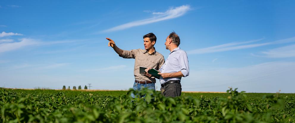 due uomini, uno giovane e uno meno giovane, in campo che parlano osservando la coltivazione | Crédit Agricole due uomini, uno giovane e uno meno giovane, in campo che parlano osservando la coltivazione | Crédit Agricole