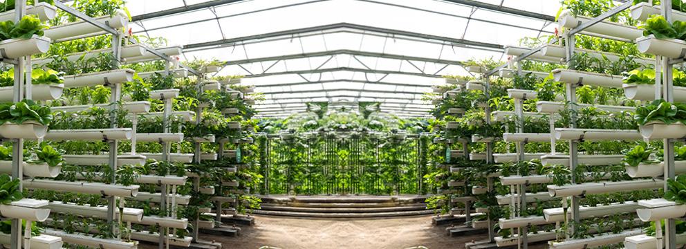 Il fisco si adegua all’agricoltura che cambia | Crédit Agricole Il fisco si adegua all’agricoltura che cambia | Crédit Agricole