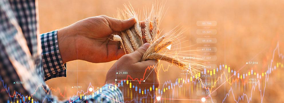 Italia prima in Europa per valore aggiunto agricolo | Crédit Agricole Italia prima in Europa per valore aggiunto agricolo | Crédit Agricole