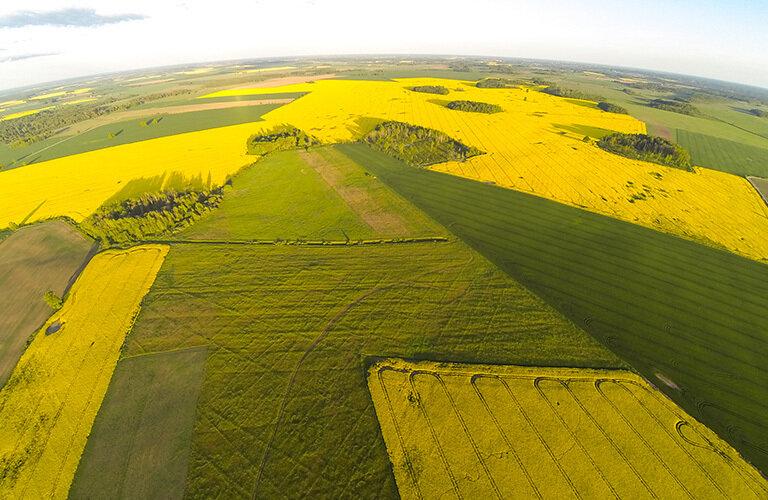 La sostenibilità in UE: il contributo del mondo agricolo | Crédit Agricole La sostenibilità in UE: il contributo del mondo agricolo | Crédit Agricole