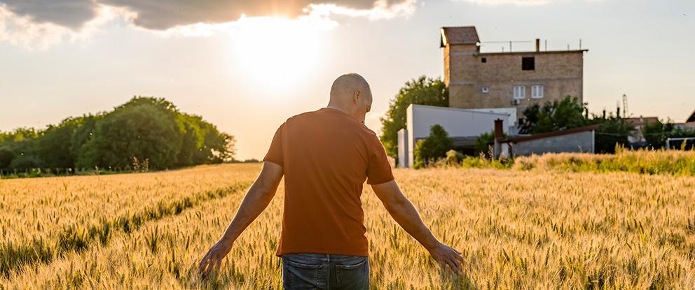 La cambiale agraria a breve termine compie cent’anni | Crédit Agricole La cambiale agraria a breve termine compie cent’anni | Crédit Agricole