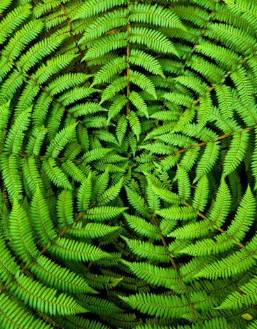 Servizi a Valore | Crédit Agricole Servizi a Valore | Crédit Agricole