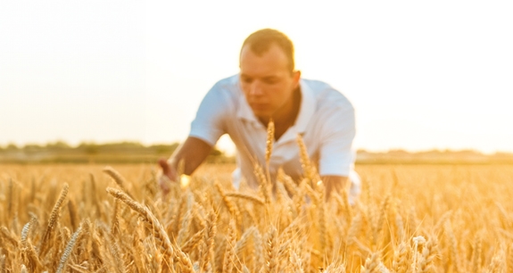 Filiera Cereali | Crédit Agricole Filiera Cereali | Crédit Agricole