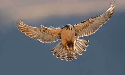 Fed e BCE: l’autunno è iniziato col doppio rialzo da 75 punti base | Crédit Agricole Fed e BCE: l’autunno è iniziato col doppio rialzo da 75 punti base | Crédit Agricole