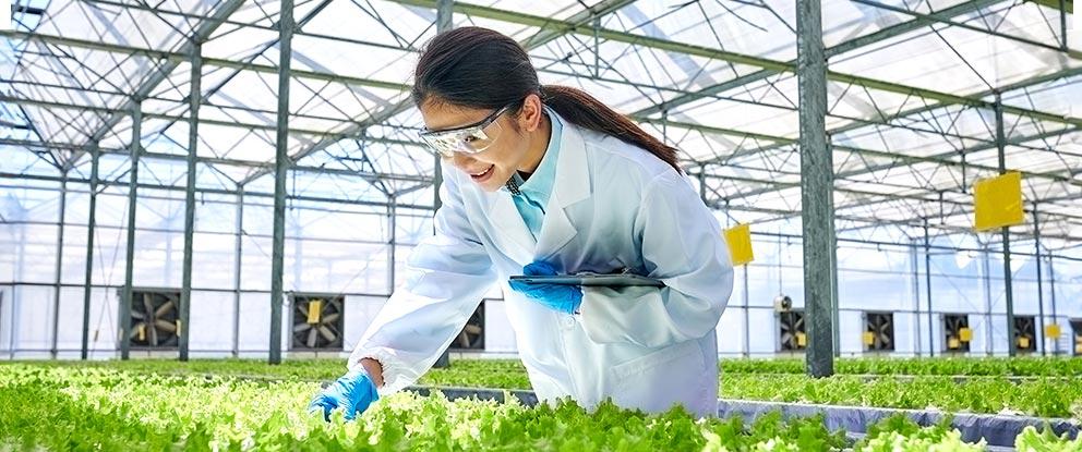 Fondo innovazione ISMEA dotazione 2025 | Crédit Agricole Fondo innovazione ISMEA dotazione 2025 | Crédit Agricole