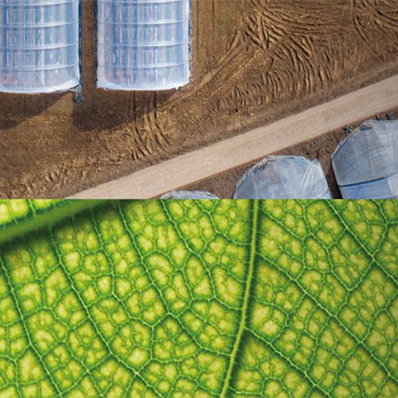 Agri Blu | Crédit Agricole