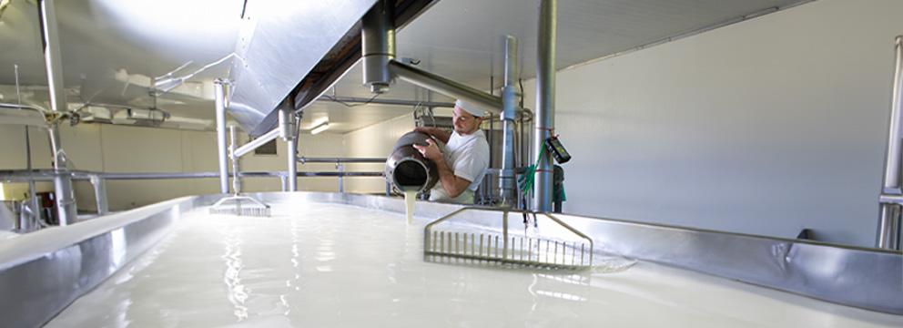 Il latte in Italia fa volare la Dop Economy | Crédit Agricole Il latte in Italia fa volare la Dop Economy | Crédit Agricole