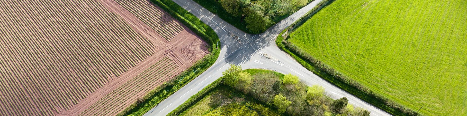 Dal campo alla tavola: come l’agricoltura biologica locale sta cambiando il futuro | Crédit Agricole Dal campo alla tavola: come l’agricoltura biologica locale sta cambiando il futuro | Crédit Agricole