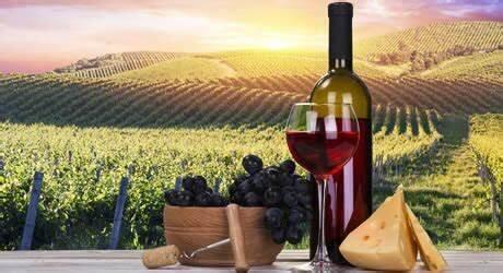 Una produzione mondiale di vino da minimo storico | Crédit Agricole Una produzione mondiale di vino da minimo storico | Crédit Agricole