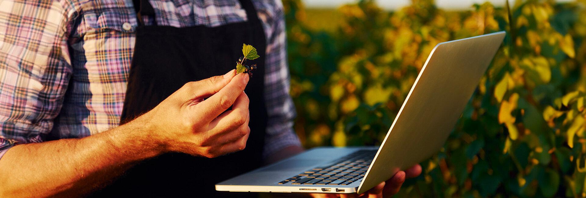 Il digitale conquista terreno nell'agroindustria | Crédit Agricole Il digitale conquista terreno nell'agroindustria | Crédit Agricole