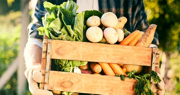 Agricoltura Biologica | Crédit Agricole Agricoltura Biologica | Crédit Agricole