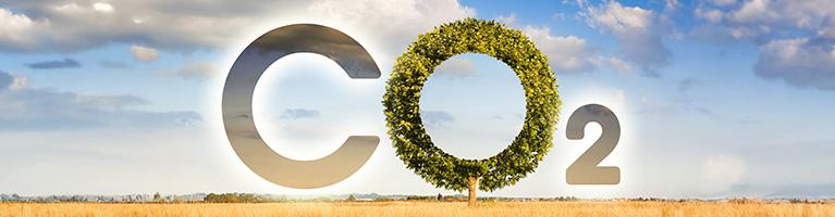 Carbon farming, dalla teoria alla pratica | Crédit Agricole Carbon farming, dalla teoria alla pratica | Crédit Agricole