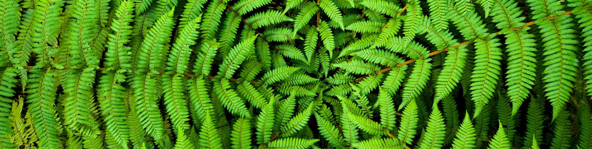 Servizi a Valore | Crédit Agricole Servizi a Valore | Crédit Agricole